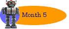 Month 5
